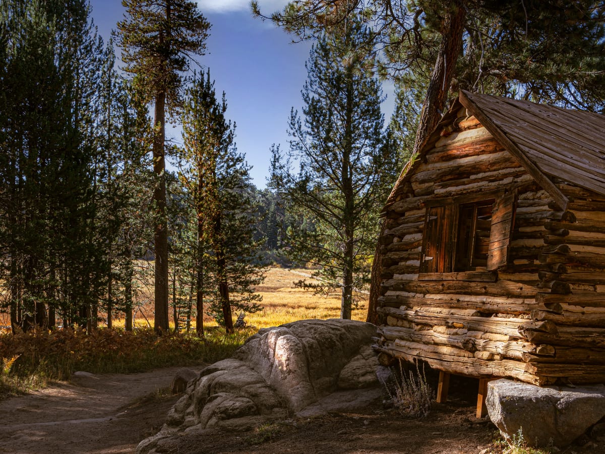 Rustic log cabin in pine forest clearing, Big Bear
