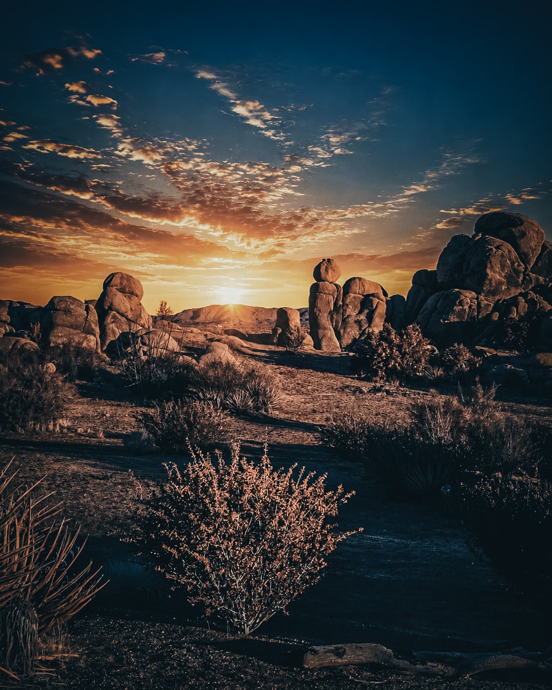 Landscape photograph